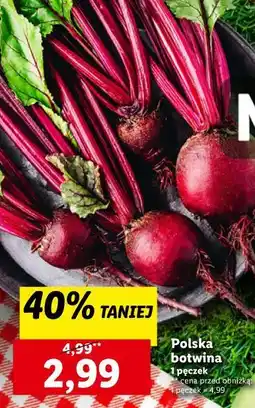 Lidl Botwina oferta