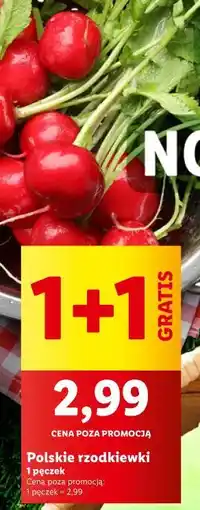 Lidl Rzodkiewki oferta