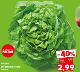 Kaufland Sałata masłowa oferta