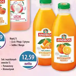 DUO-TES Sok z wyciskanych owoców Andros oferta