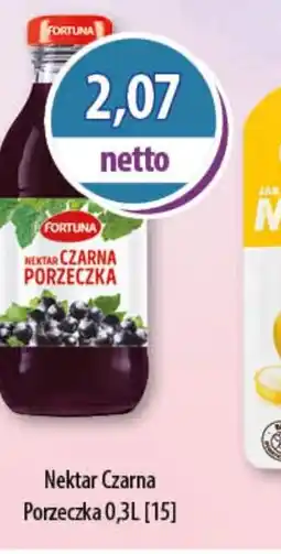 DUO-TES Nektar Czarna Porzeczka oferta