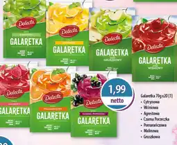 DUO-TES Galaretka Delecta oferta