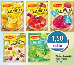 DUO-TES Galaretka Winiary oferta