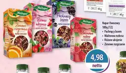 DUO-TES Napar Owocowy Herbapol oferta