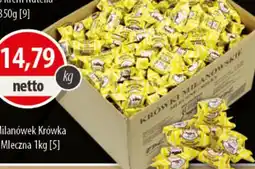 DUO-TES Milanówek Krówka Mleczna oferta