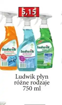 ADEKS Ludwik płyn oferta