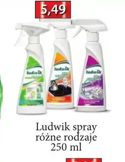 ADEKS Ludwik spray oferta