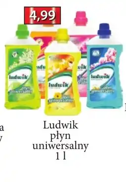 ADEKS Ludwik płyn uniwersalny oferta