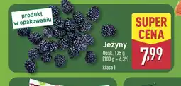 ALDI Jeżyny oferta
