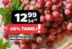 Netto Wino różowe Red Globe oferta