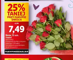 Lidl Róże oferta