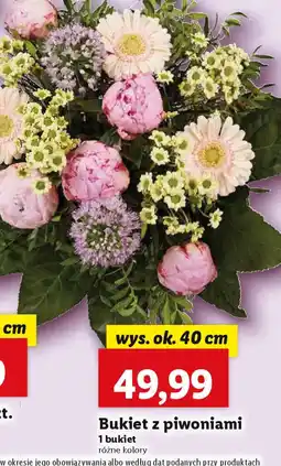 Lidl Bukiet z piwoniami oferta