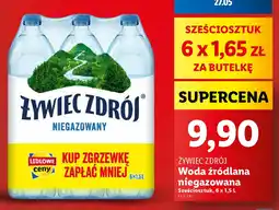 Lidl Zywiec Zdrój oferta