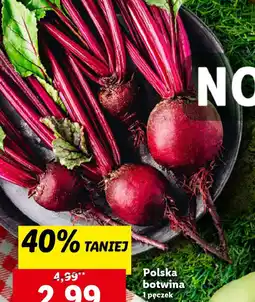 Lidl Polska botwina oferta