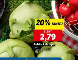 Lidl Polska kalarepa oferta