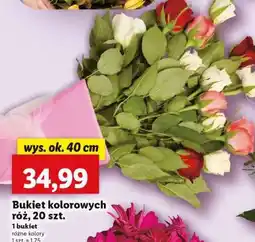 Lidl Bukiet kolorowych róz 20 szt oferta