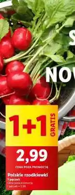 Lidl Polskie rzodkiewki oferta