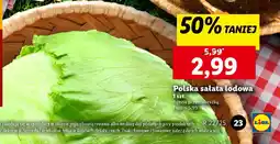 Lidl Polska sałata lodowa oferta