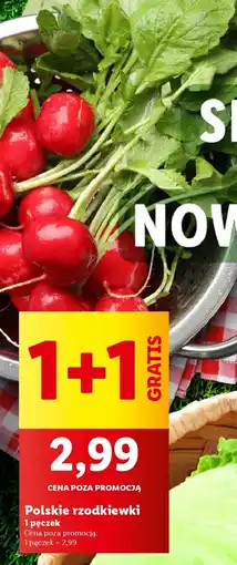 Lidl Polskie rzodkiewki oferta