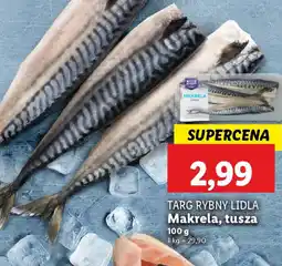 Lidl Makrela tusza oferta