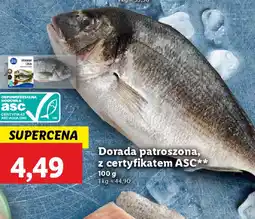 Lidl Dorada patroszona oferta