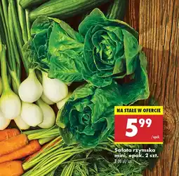Biedronka Sałata rzymska oferta