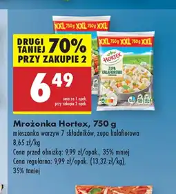 Biedronka Zupa mrożona Hortex oferta