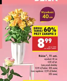 Biedronka Bukiet oferta