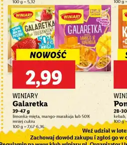 Lidl Galaretka Winiary oferta