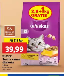 Lidl Whiskas Sucha karma dla kota oferta