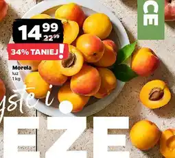 Netto Morele oferta