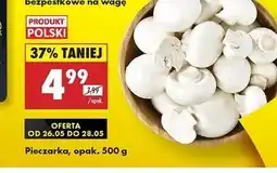 Biedronka Pieczarki oferta