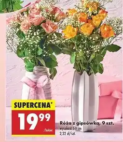 Biedronka Róża z gipsówką 50 cm oferta