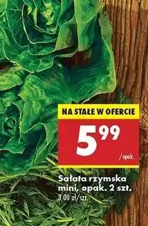 Biedronka Sałatka rzymska mini oferta