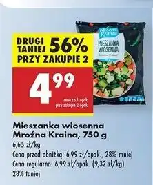 Biedronka Mieszanka wiosenna Mroźna Kraina oferta