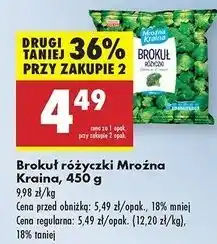 Biedronka Brokuły Mroźna Kraina oferta