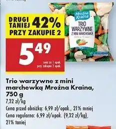 Biedronka Trio warzywne Mroźna Kraina oferta