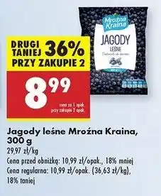 Biedronka Jagody leśne Mroźna Kraina oferta