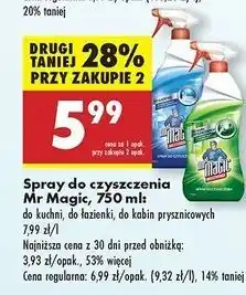 Biedronka Spray do kabin przysznicowych Mr Magic oferta