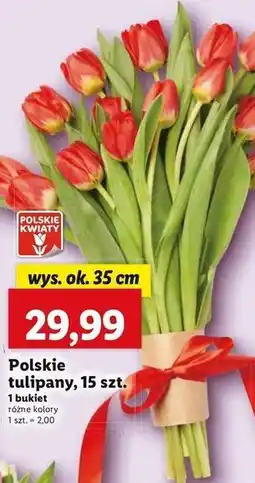 Lidl Tulipany 35 cm oferta