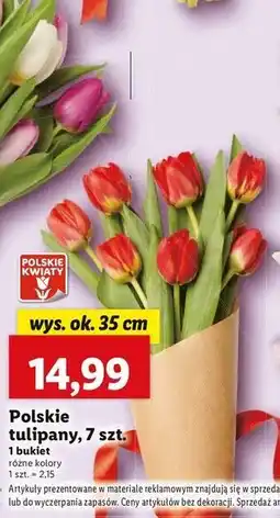 Lidl Tulipany bukiet oferta