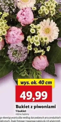 Lidl Bukiet z piwoniami 40 cm oferta