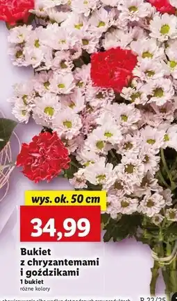 Lidl Bukiet z chryzantemami i goździkami oferta