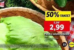 Lidl Sałata lodowa oferta