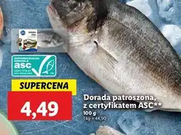 Lidl Dorada patroszona oferta