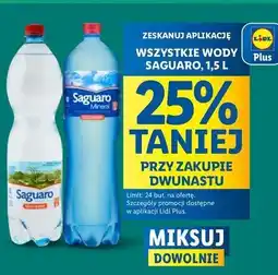 Lidl Woda gazowana Saguaro Muszyńskie oferta