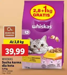 Lidl Karma dla kota kurczak Whiskas oferta