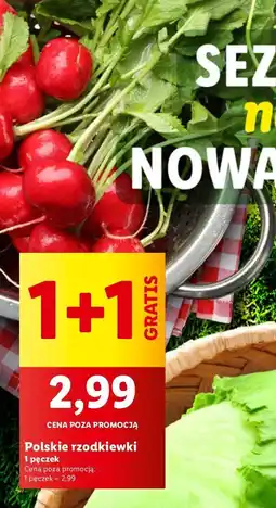 Lidl Rzodkiewka oferta