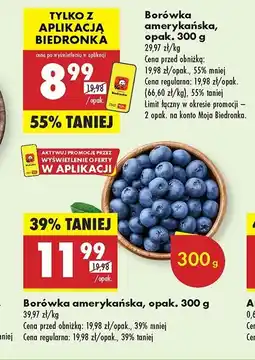 Biedronka Borówki amerykańskie oferta