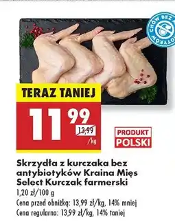 Biedronka Skrzydełka z kurczaka Kraina mięs oferta